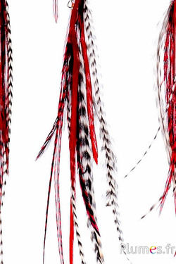 Pendentif Coq Léon - 25 cm - rouge